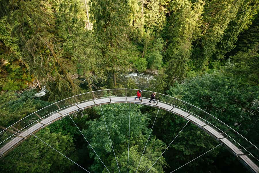Vancouver: Capilano Bridge, Cleveland Dam & Lynn Canyon Tour - Capilano Suspension Bridge Park brings the big thrills