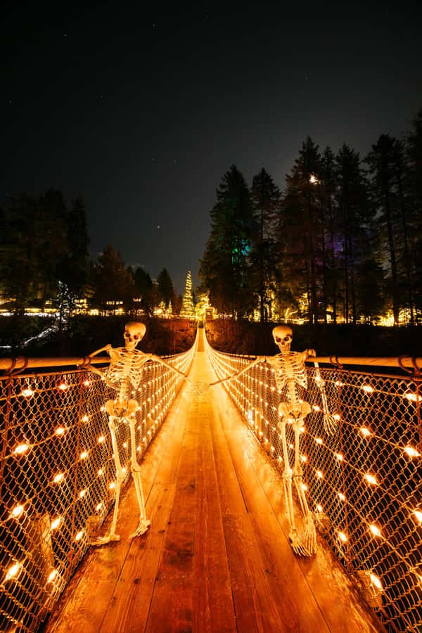Vancouver: Capilano Bridge, Cleveland Dam & Lynn Canyon Tour - The hatchery adds meaning to the river