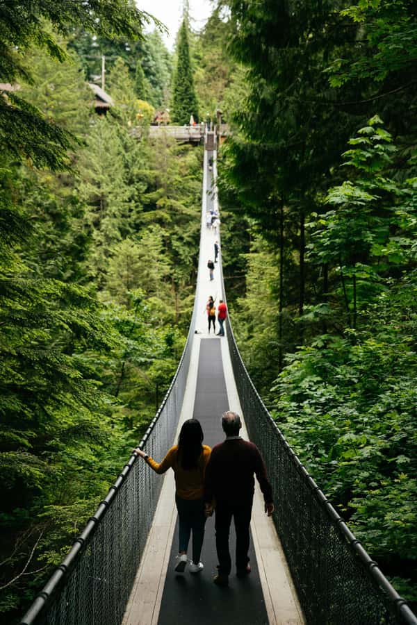 Vancouver: Capilano Bridge, Cleveland Dam & Lynn Canyon Tour - What $136 buys you