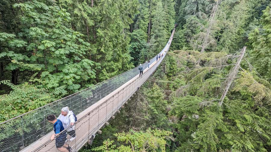 Vancouver: Capilano Bridge, Cleveland Dam & Lynn Canyon Tour - Lynn Canyon starts the day with a wilder feel