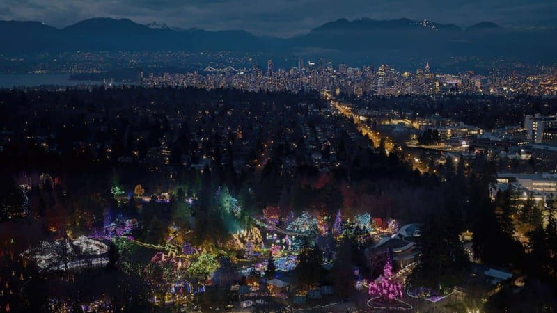 Vancouver Christmas Lights Karaoke Trolley Tour - Key points to know before booking