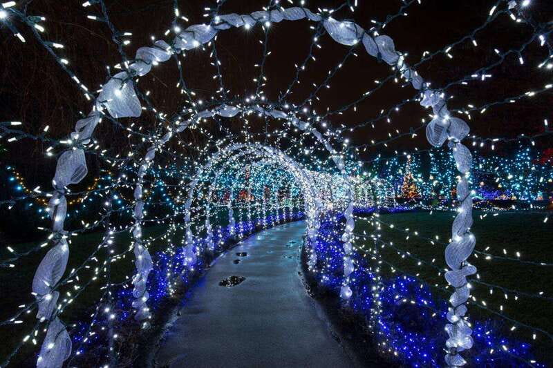 Vancouver Christmas Lights Karaoke Trolley Tour - A festive ride with more personality than a standard lights tour