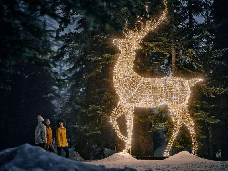 Vancouver Christmas Lights Karaoke Trolley Tour - VanDusen Botanical Garden is the centerpiece
