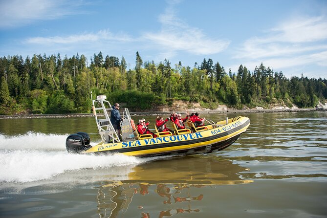 Vancouver City and Nature Waterfront Sightseeing Boat Tour - Stanley Park, Seal Rocks, and wildlife watching