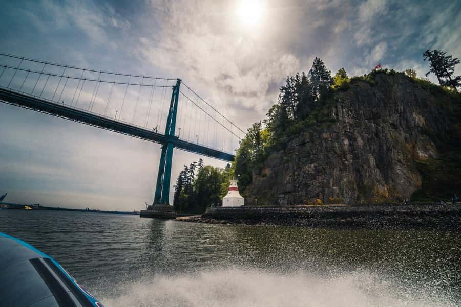 Vancouver: City and Seal Boat Tour - The seal colony and Vancouver’s wildlife