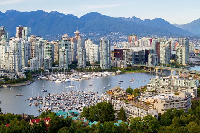 Vancouver City Finest Private Tour - Stanley Park: totem poles, seawall views, and the Hollow Tree