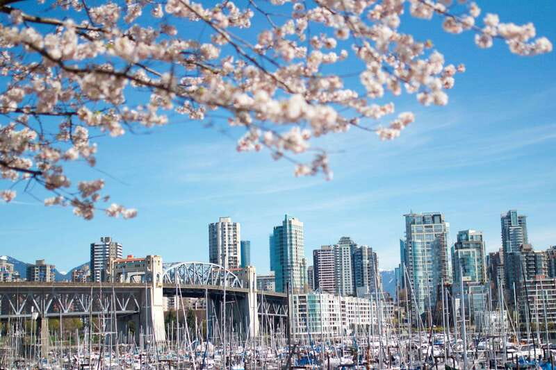 Vancouver: City & Granville Island Sightseeing Trolley Tour - Key points at a glance
