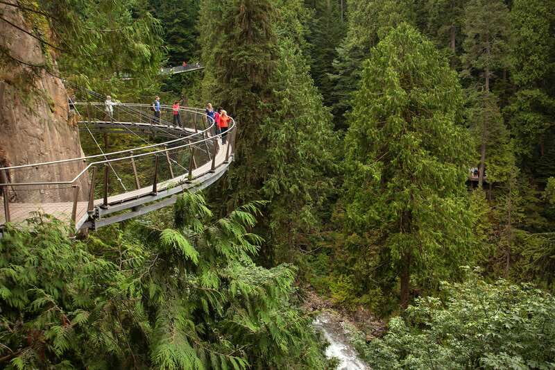 Vancouver: City+Lookout+Capilano Suspension Bridge Ticket - Who will get the most from this tour