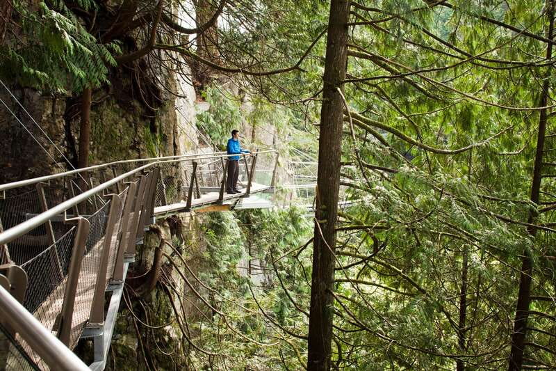 Vancouver: City+Lookout+Capilano Suspension Bridge Ticket - A fast way to understand Vancouver