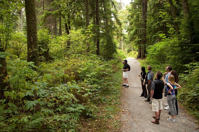 Vancouver City & Lookout Tour and Option to Add Airport Drop Off - What the guides add to the experience