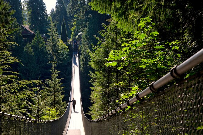 Vancouver City Sightseeing Tour: Capilano Suspension Bridge & Vancouver Lookout - Granville Island in 30 minutes