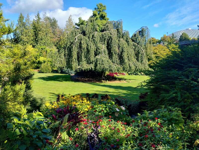 Vancouver City Tour: The Only Full Small-Group Car Tour - Why this car tour works for seeing Vancouver fast