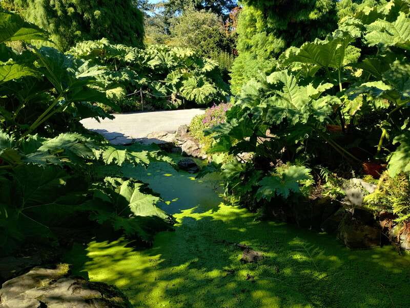 Vancouver City Tour: The Only Full Small-Group Car Tour - Downtown landmarks come in short, useful doses