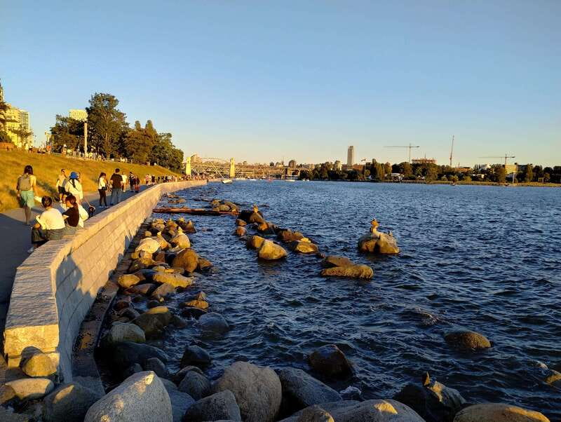 Vancouver City Tour: The Only Full Small-Group Car Tour - Stanley Park, from totem poles to the Hollow Tree