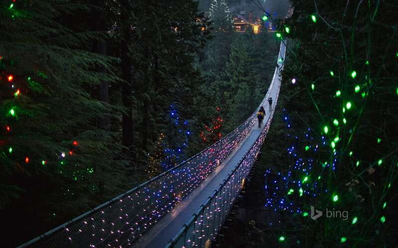 Vancouver: City Tour with Capilano Suspension Bridge - Gastown’s short walk and steam clock