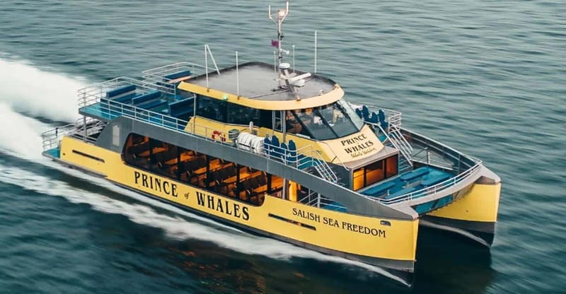 Vancouver: Covered Whale Watching Adventure with Free Photos - Should you book the $188 whale-watching tour?
