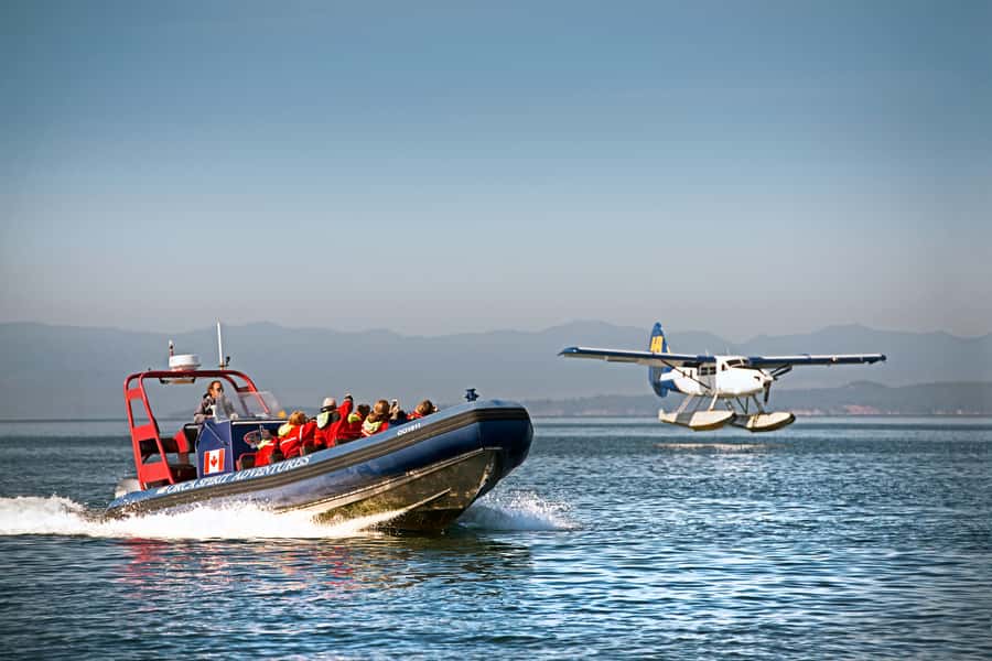 Vancouver: Day Trip to Victoria Seaplane with Whale Watching - Checking in at Vancouver Harbour
