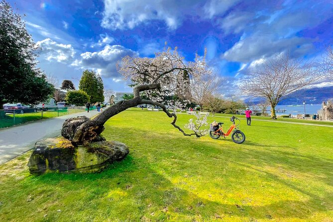 Vancouver E-Bike Rentals - Premium Seawall Bike Path Location - What the three-hour price really includes