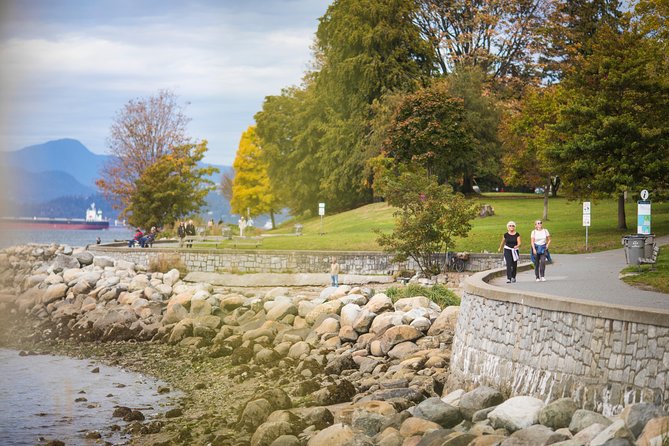 Vancouver Evening Tour: Stanley Park & English Bay Photostops - Practical value, comfort, and booking terms
