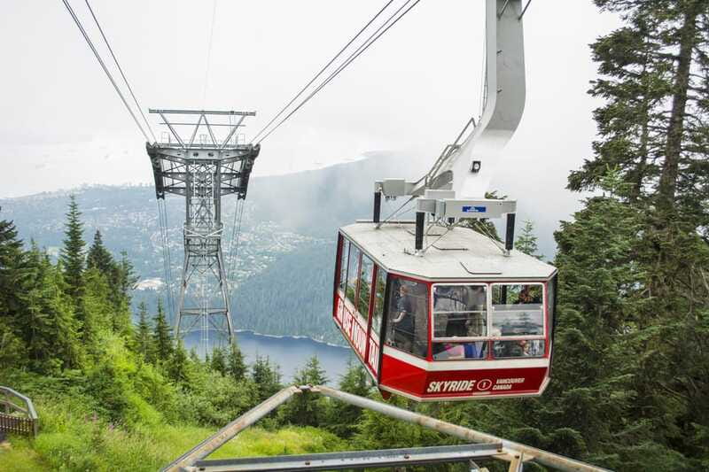 Vancouver Grouse Mountain Express With Gondola Ride - Grizzly bears and the wildlife refuge