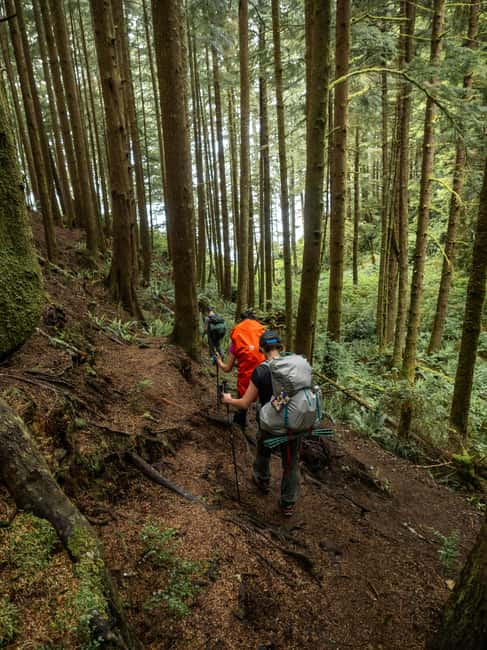 Vancouver: Guided Hiking Highlights at Grouse & Lynn Canyon - Starting at Canada Place and rolling through Stanley Park