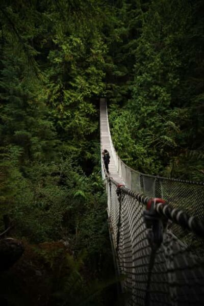 Guided Hiking Highlights at Grouse & Lynn Canyon