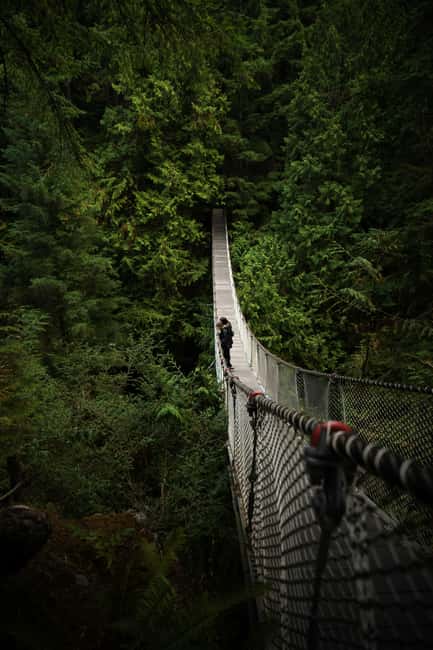 Vancouver: Guided Hiking Highlights at Grouse & Lynn Canyon - The Grouse Grind: 2.5 kilometres straight uphill