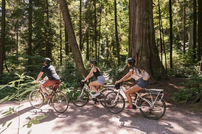 Vancouver: Half-Day City Highlights E-Bike Tour Age 16+ - Stanley Park brings forest and sea together