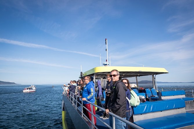 Vancouver Half-Day Whale Watching Adventure with Free Photos - Naturalist guides add meaning to the sightings
