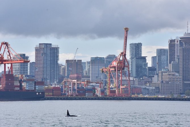 Vancouver Half-Day Whale Watching Adventure with Free Photos - Staying warm on a windy five-hour cruise