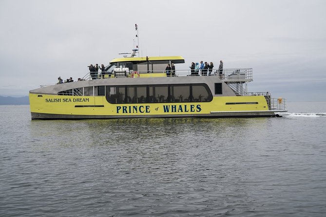 Vancouver Half-Day Whale Watching Adventure with Free Photos - The long search is part of the itinerary