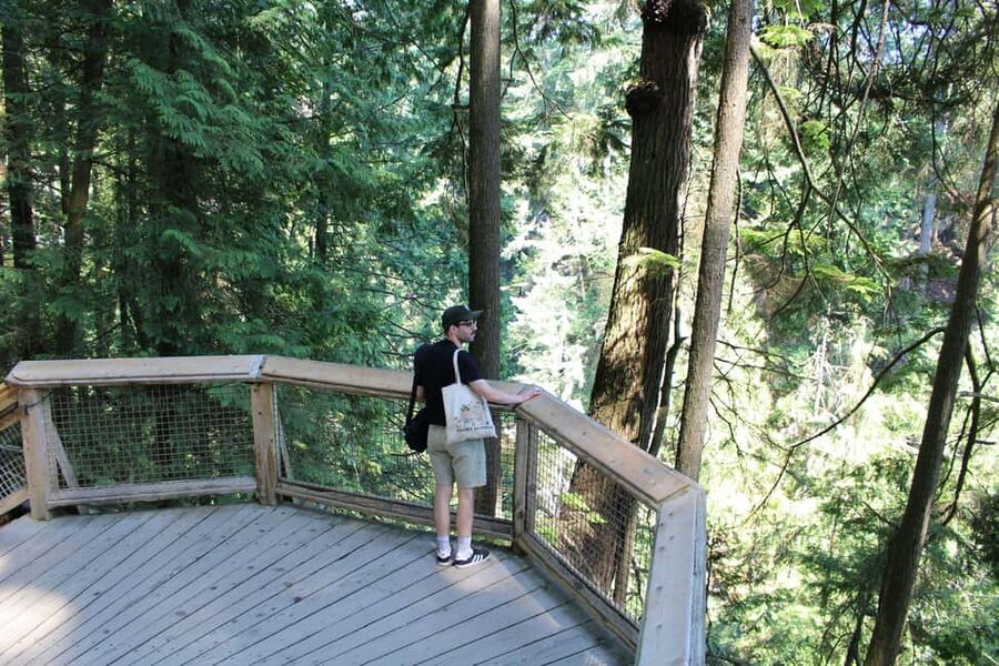 Vancouver Highlights: Capilano Bridge & Granville Island - Stanley Park from the road and trailhead