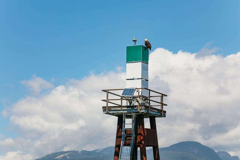 Vancouver: Indian Arm and Granite Falls Zodiac Boat Tour - Wildlife sightings are a bonus