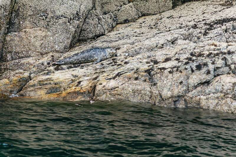 Vancouver: Indian Arm and Granite Falls Zodiac Boat Tour - Stanley Park and Siwash Rock from the water