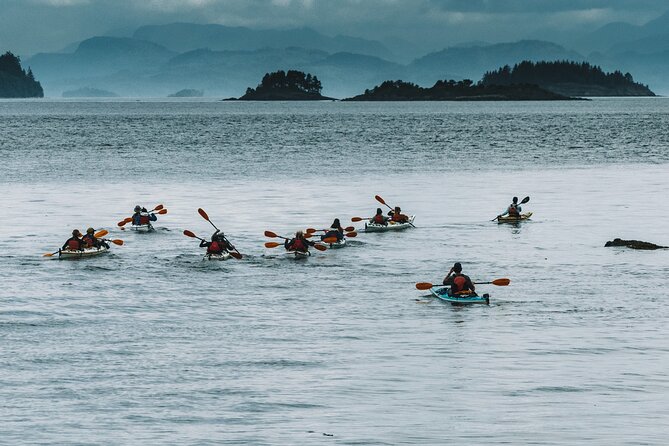 Vancouver Island: Full-Day Kayak Tour from Telegraph Cove - Key points at a glance