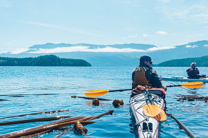 Vancouver Island: Full-Day Kayak Tour from Telegraph Cove - Why Telegraph Cove is a fine place to start