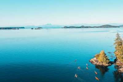 Full-Day Kayak Tour from Telegraph Cove