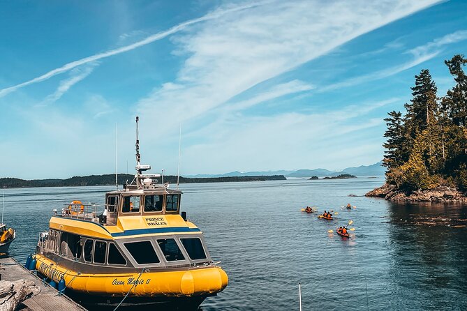 Vancouver Island Half-Day Whale Watching Tour - Telegraph Cove - The boat ride: excitement with a practical side