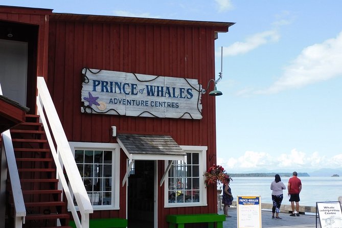 Vancouver Island Half-Day Whale Watching Tour - Telegraph Cove - Included photos add real value