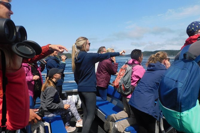 Vancouver Island Half-Day Whale Watching Tour - Telegraph Cove - Is $153.77 a fair price?