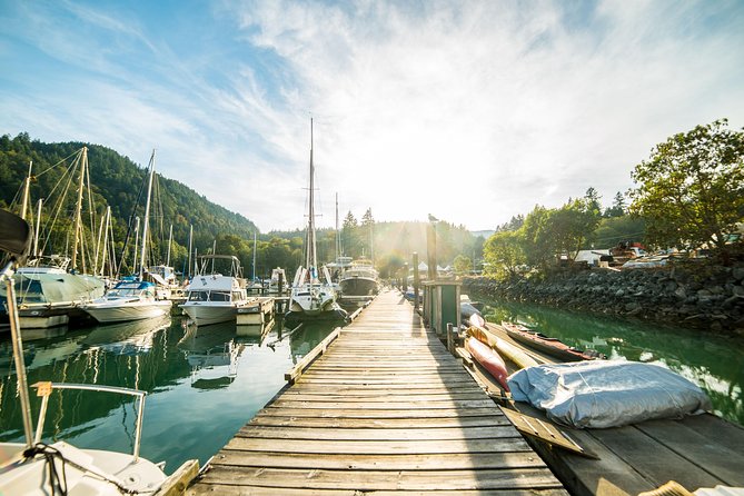 Vancouver Jetski Tour with Dinner on Bowen Island - What the $313.96 price really covers