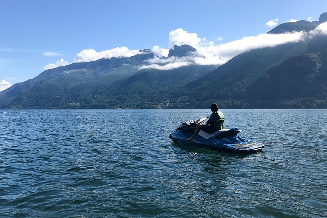 Vancouver Jetski Tour with Dinner on Bowen Island - The seal colony is the wildlife stop