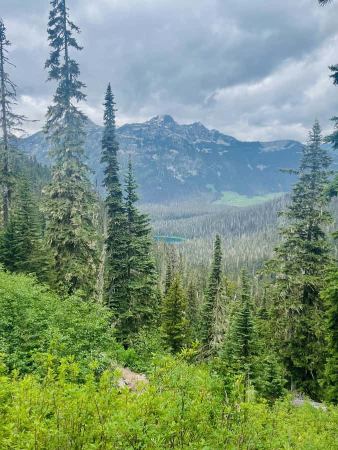 Vancouver: Joffre Lakes Park Hike and Whistler Day Trip - The Joffre Lakes trail from Lower to Upper