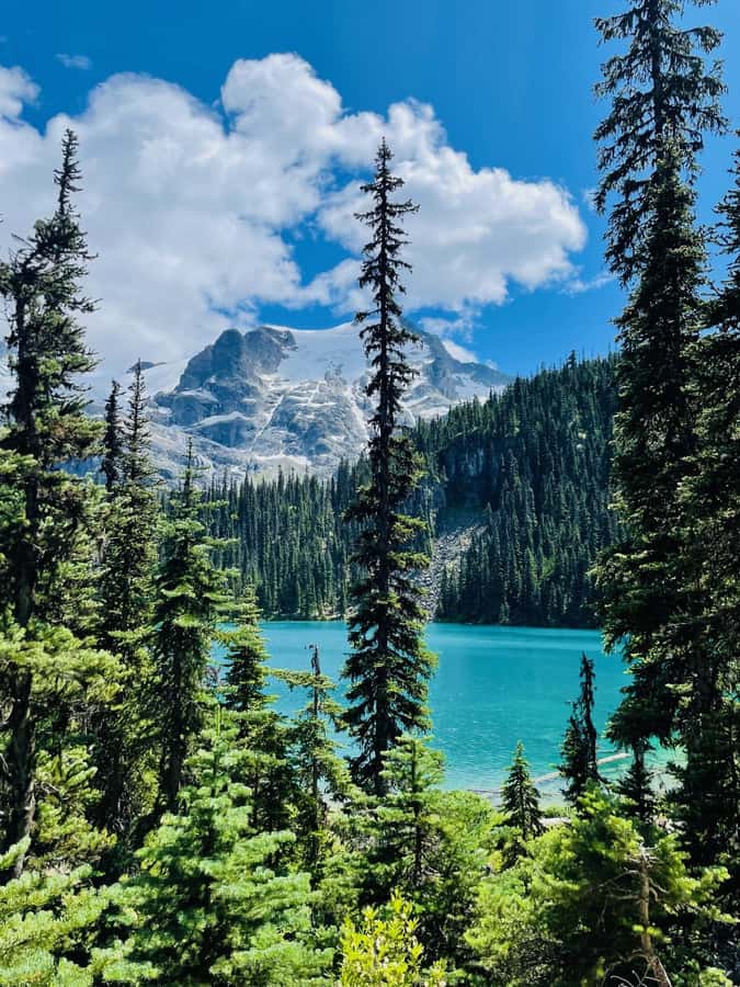 Vancouver: Joffre Lakes Park Hike and Whistler Day Trip - Should you book the Joffre Lakes and Whistler day trip?