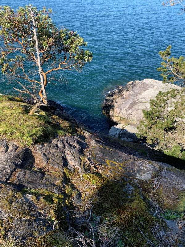 Vancouver: Lighthouse Park Hike - Key points at a glance
