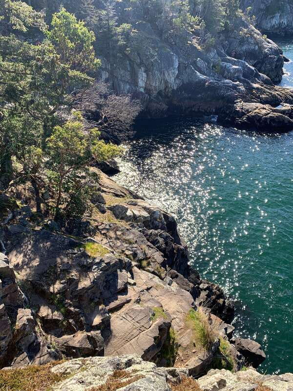 Vancouver: Lighthouse Park Hike - From Vancouver hotel pickup to the Lions Gate Bridge