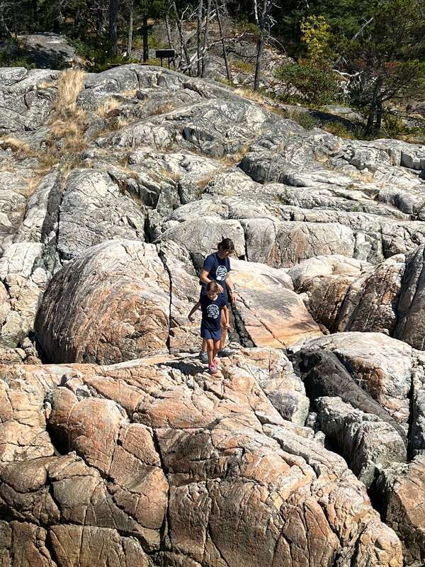 Vancouver: Lighthouse Park Hike - Who will enjoy this Lighthouse Park tour?
