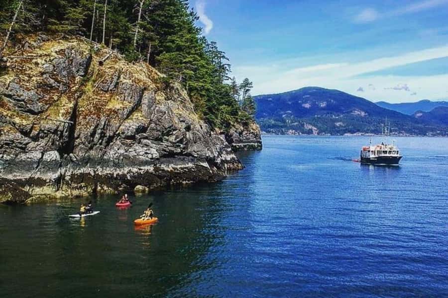 Vancouver: Morning Kayak & Seal Cruise - Setting out from Horseshoe Bay