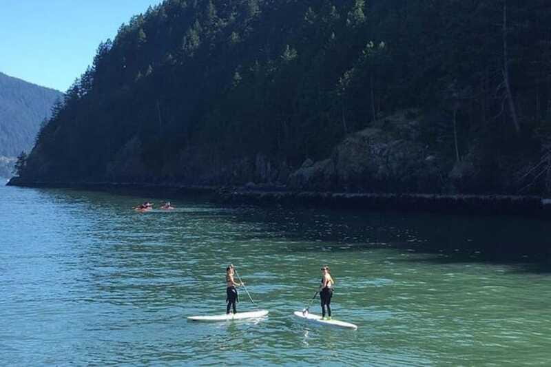 Vancouver: Morning Kayak & Seal Cruise - Weather, clothing, and comfort