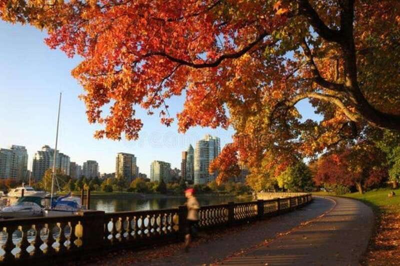 Vancouver : Must-See Attractions Walking Tour With A Guide - Key points to know before booking